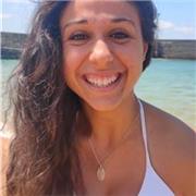 Grado en Maestro en Educación Primaria